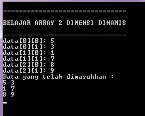 ARRAY 2 DIMENSI DINAMIS DALAM C++